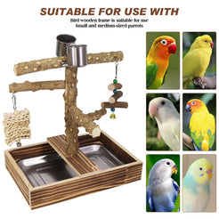 Parrot Stand Solid Wood Platform Swing Entertainment Pepperwood Feeding Watering Game Platform Climbing Play Bird Stand