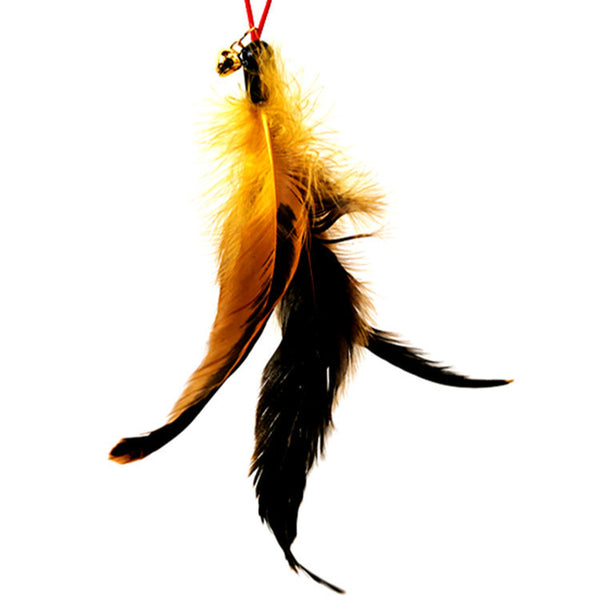 large-yellow-feather