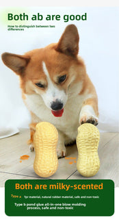 Amazon Hot-Selling Dog Toy Sound-Producing Boredom-Relief Vinyl Realistic Peanut Interactive Chew Toy for Small and Medium-Sized Dogs