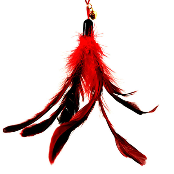 big-red-feather
