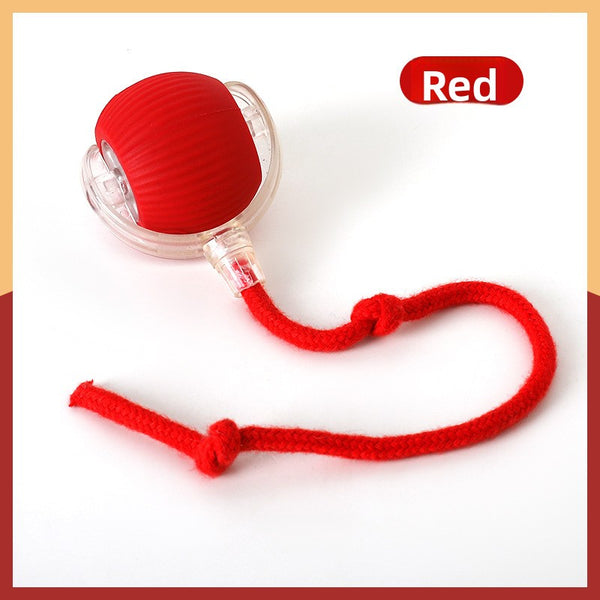 with-rope-cat-ball-red
